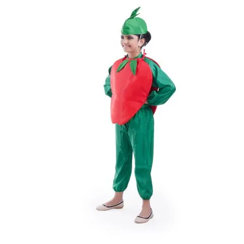 Apple Fruit Costume for fancydress shows