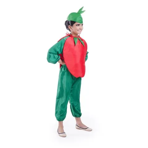 Apple Fruit Costume for fancydress shows