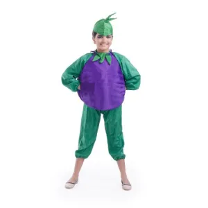 Brinjal dress for boys and Girls for Fancy dress competitions