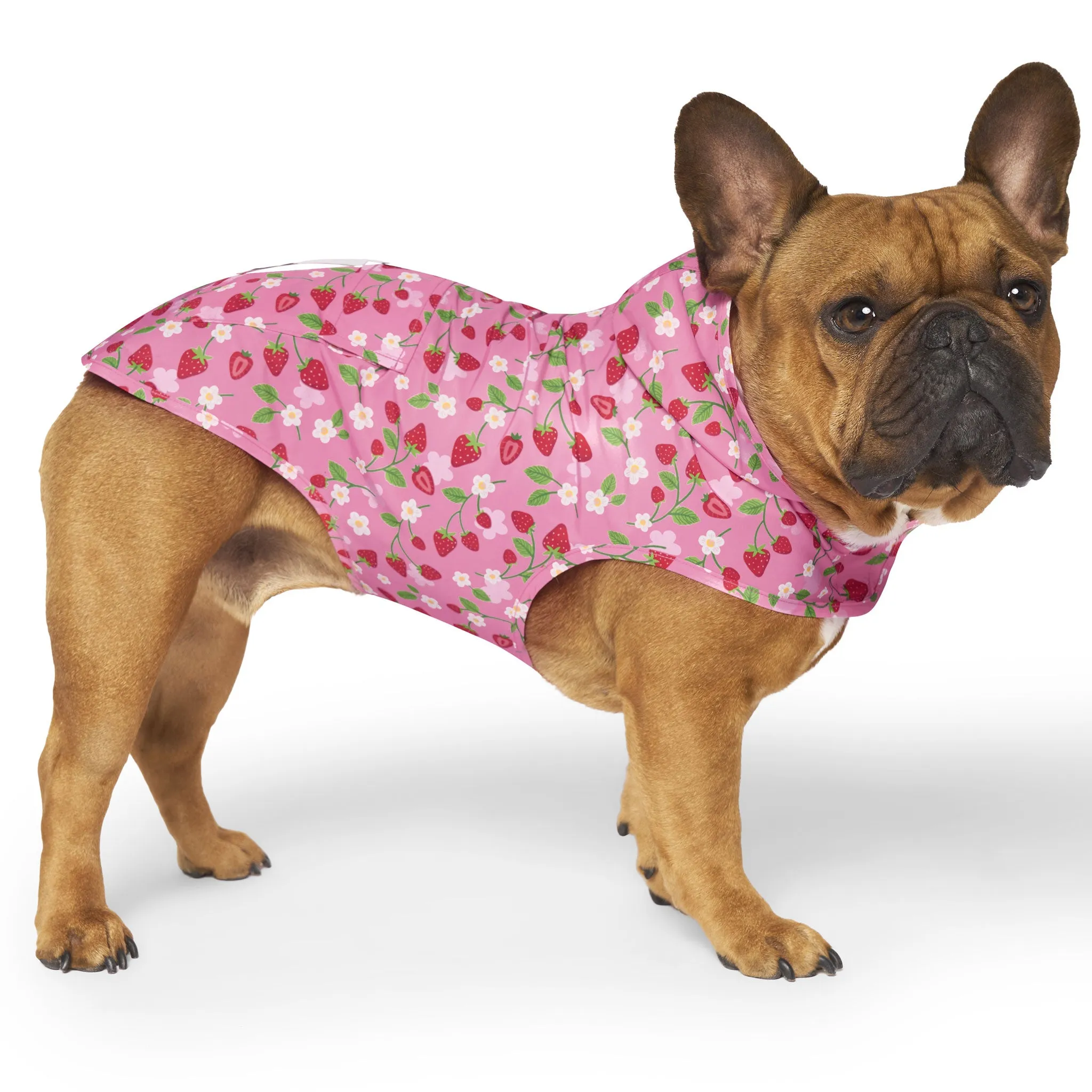 Canada Pooch Pick Me Poncho - Strawberries