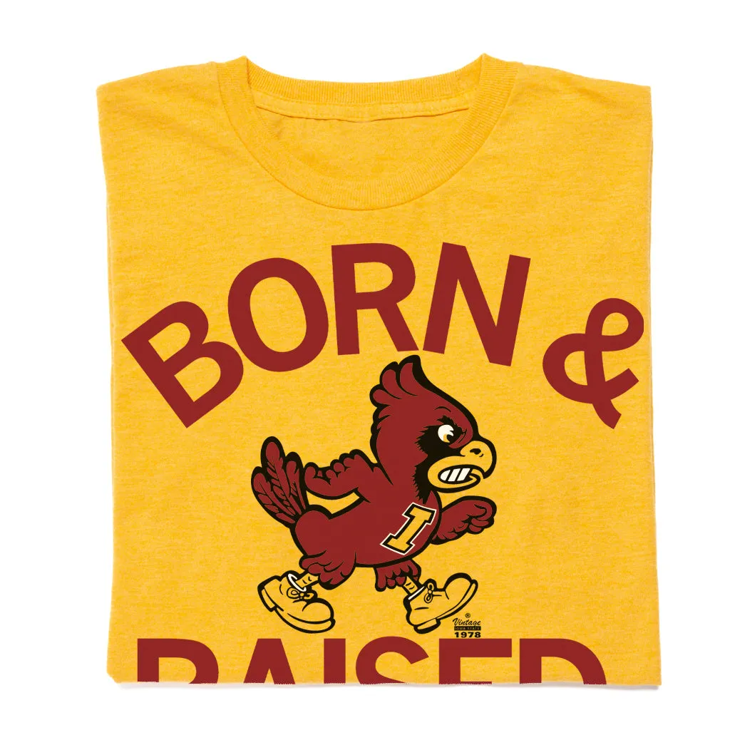 Cyclones Born & Raised Vintage Gold