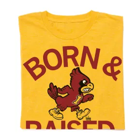 Cyclones Born & Raised Vintage Gold