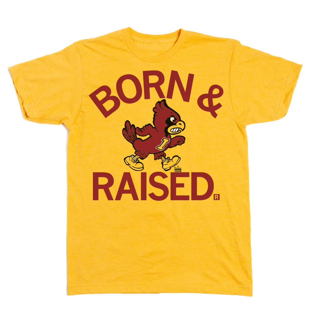 Cyclones Born & Raised Vintage Gold