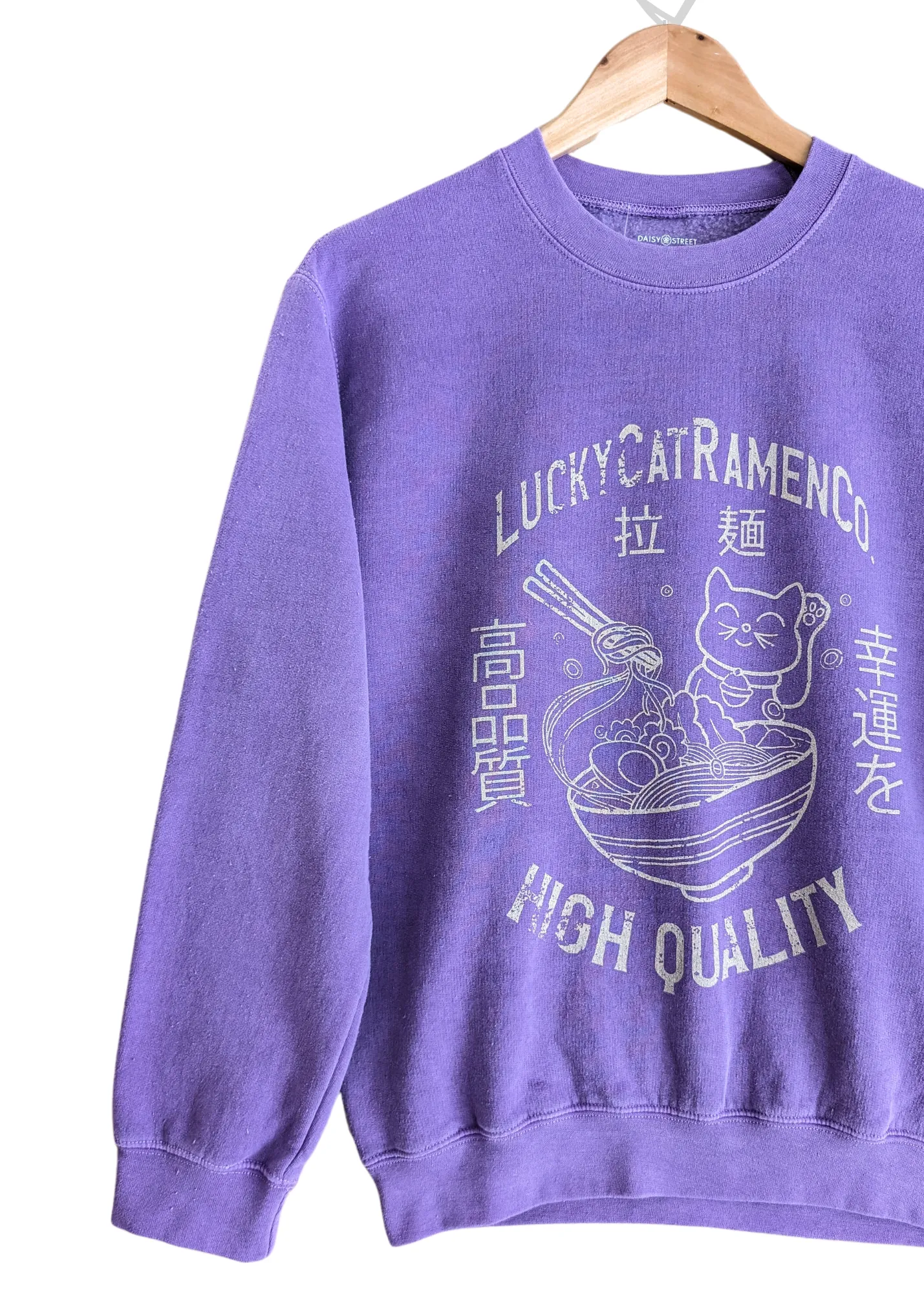 Daisy Street - Purple Lucky Cat Ramen Noodles Sweater