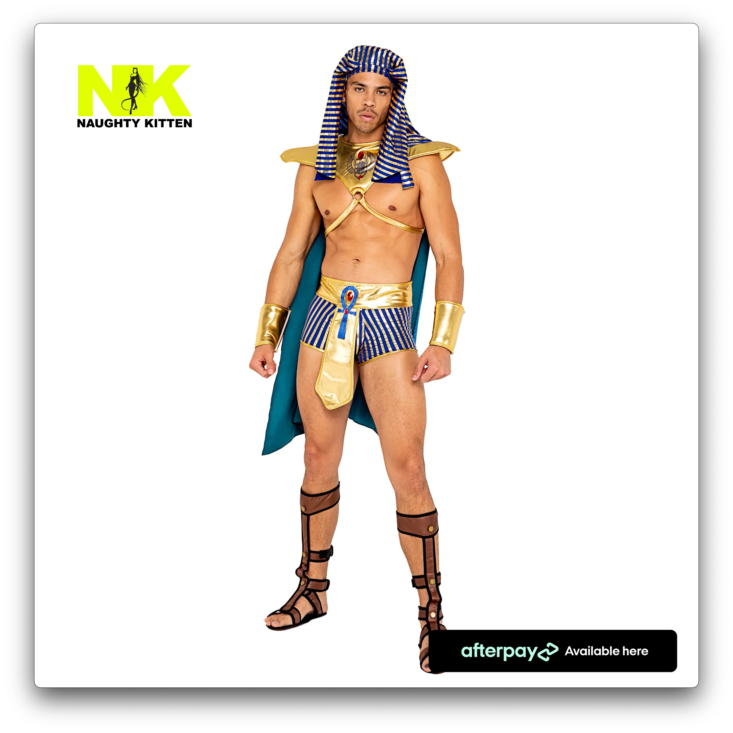 Men's King Pharaoh of Egypt Costume