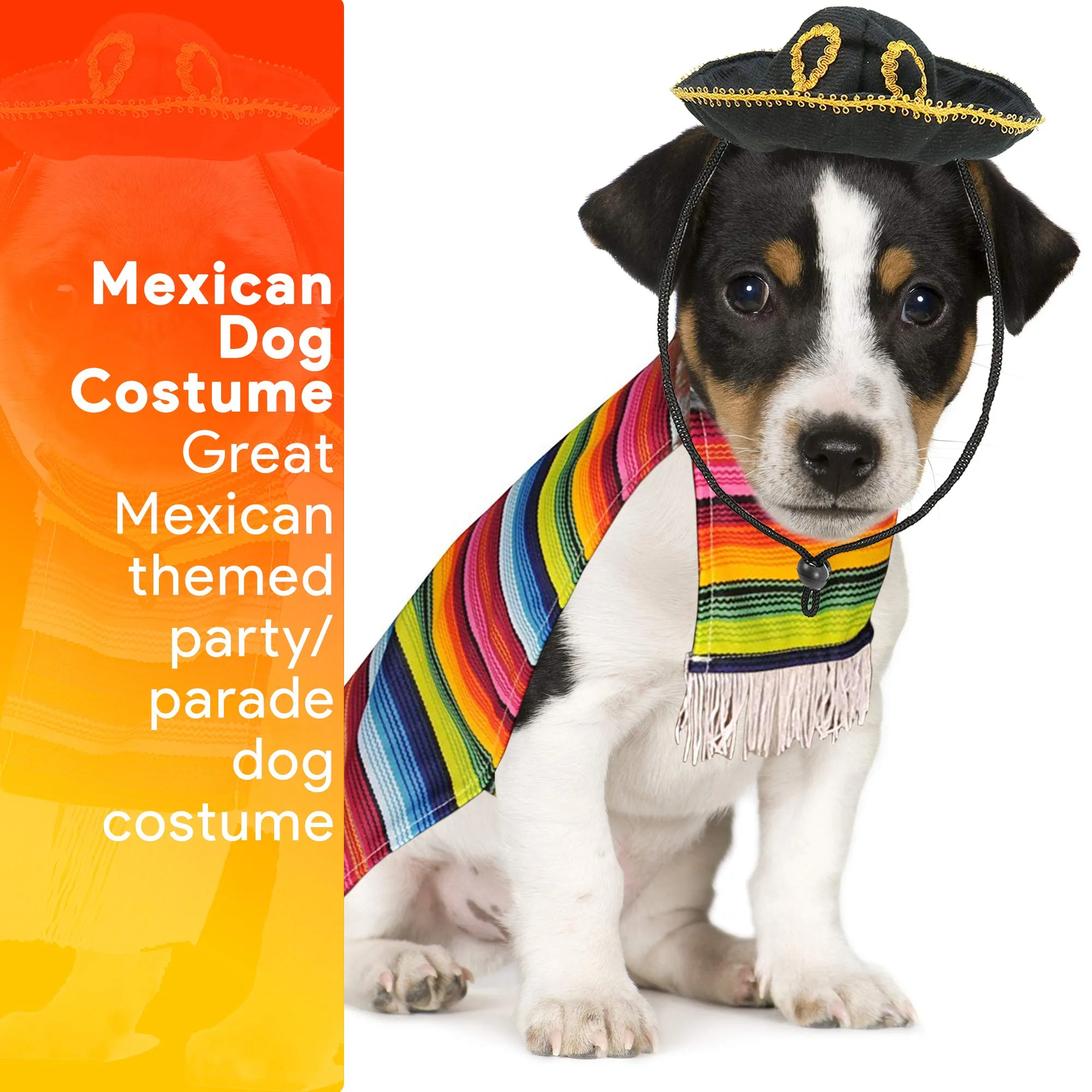 Skeleteen Mexican Serape Dog Costume - Cinco de Mayo Poncho and Sombrero Costumes for Pets